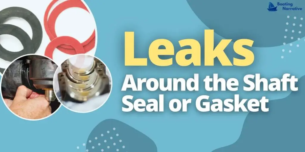 leaks around the shaft seal or gasket