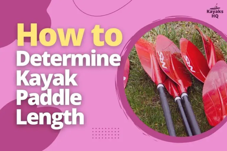 How to Determine Kayak Paddle Length (The Ultimate Guide)