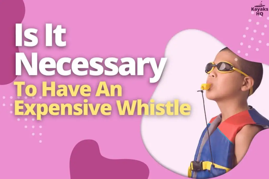 Is It Necessary To Have An Expensive Whistle