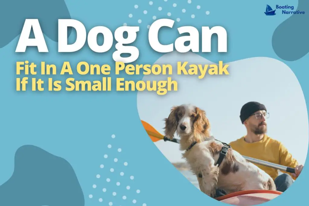 A Dog Can Fit In A One Person Kayak If It Is Small Enough
