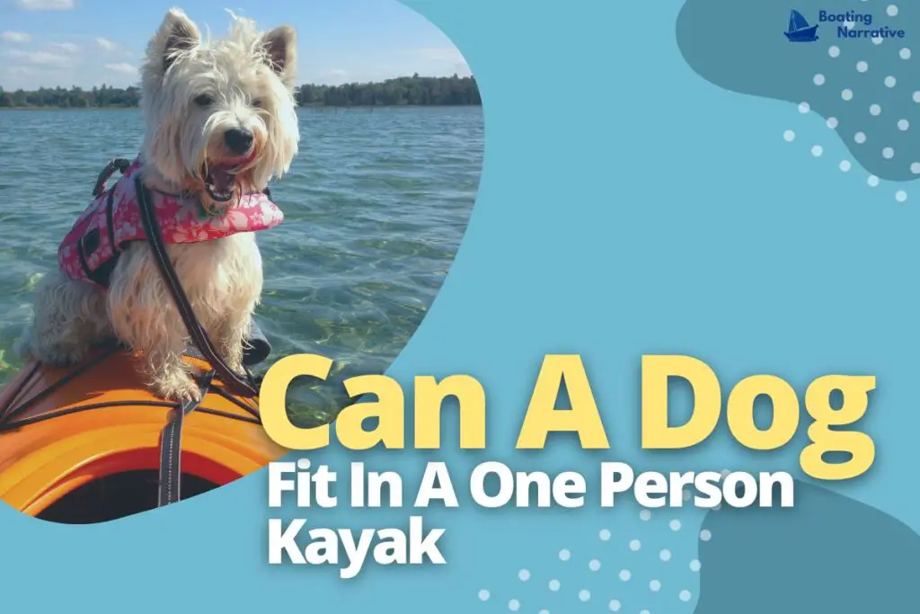 Can A Dog Fit In A One Person Kayak