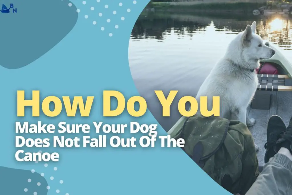 How Do You Make Sure Your Dog Does Not Fall Out Of The Canoe