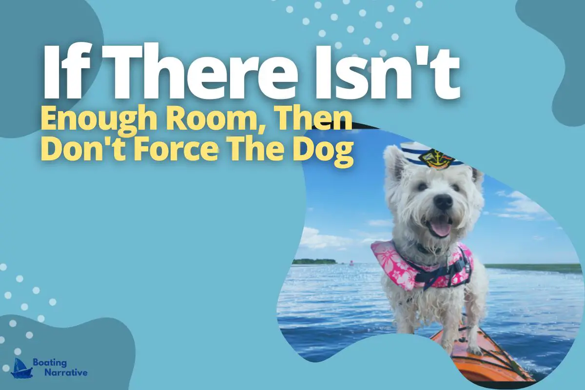 Can A Dog Fit In A One Person Kayak (The Dog's Perspective)