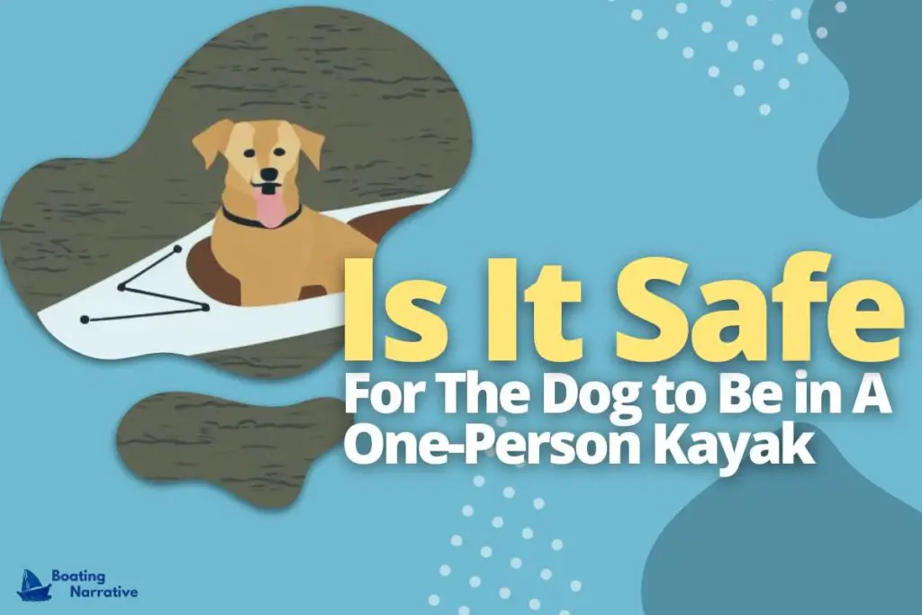 Is It Safe for The Dog to Be in A One-Person Kayak