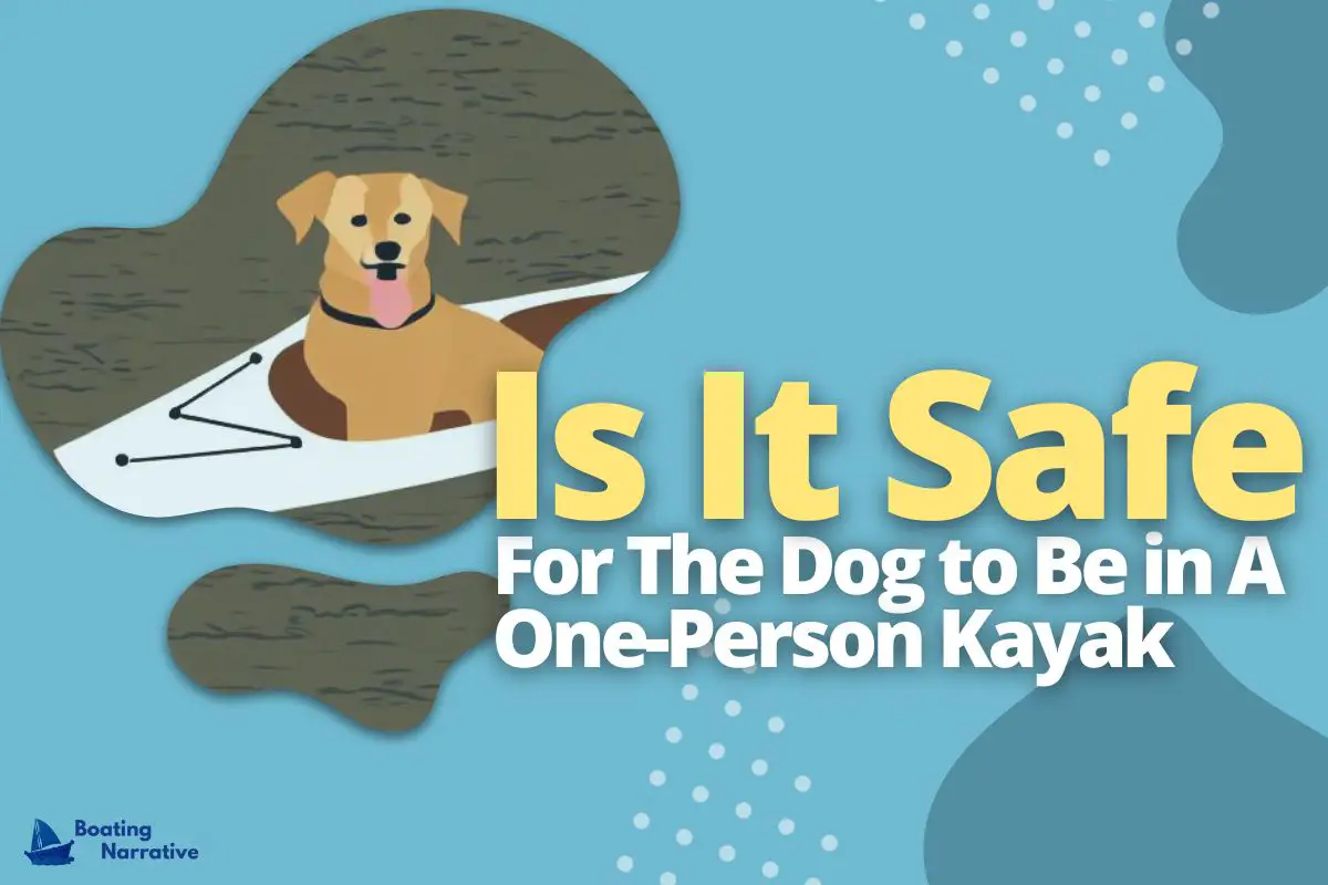 Can A Dog Fit In A One Person Kayak (The Dog's Perspective)