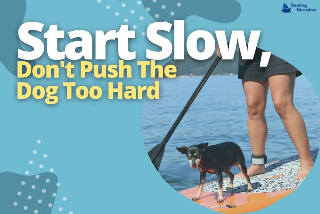 Start Slow, Don't Push The Dog Too Hard