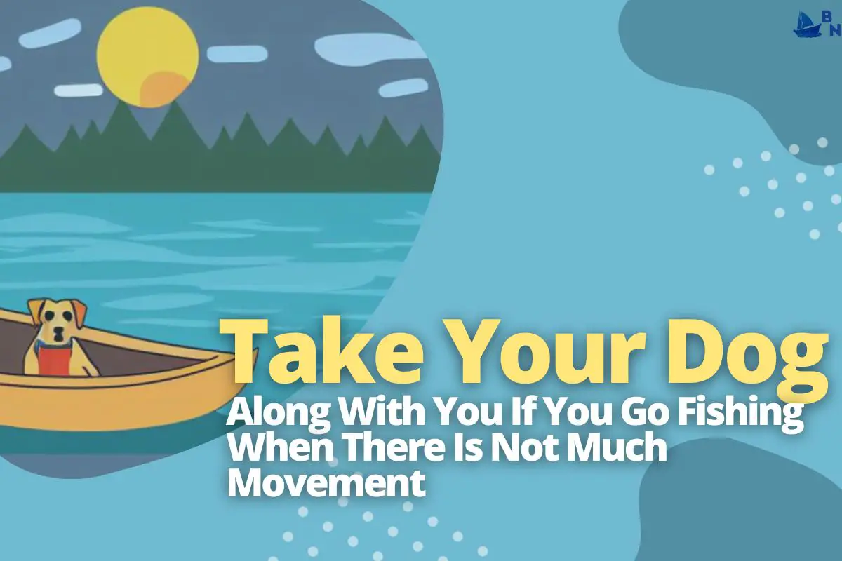 Can You Take A Dog In A Canoe (Dog Facts Explained)