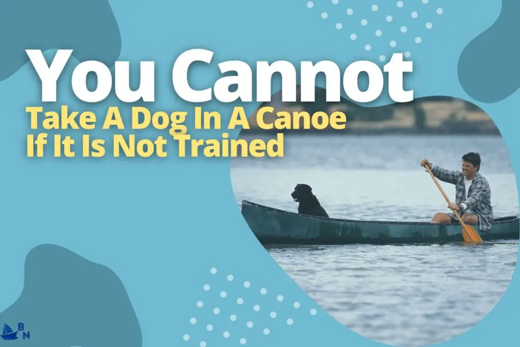 You Cannot Take A Dog In A Canoe If It Is Not Trained