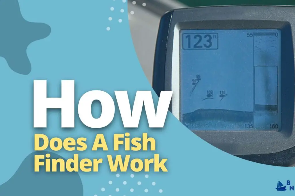 How Does A Fish Finder Work