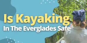 Is Kayaking In The Everglades Safe