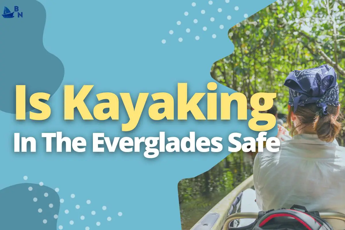 Is Kayaking In The Everglades Safe