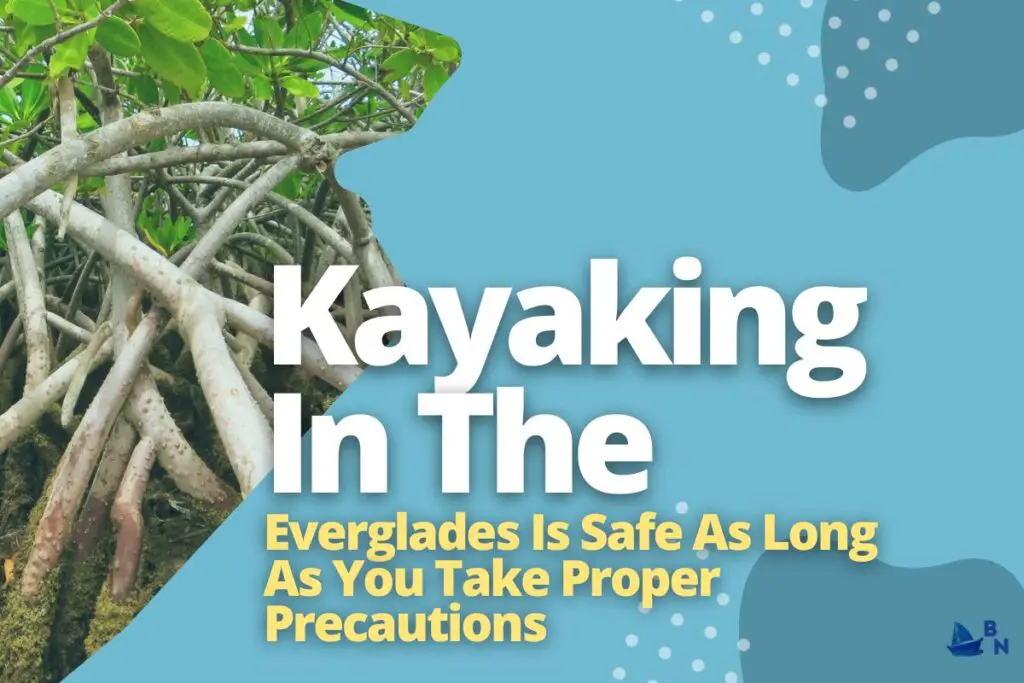 Kayaking In The Everglades Is Safe As Long As You Take Proper Precautions