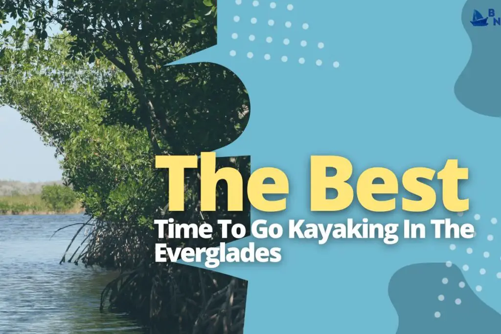 The Best Time To Go Kayaking In The Everglades