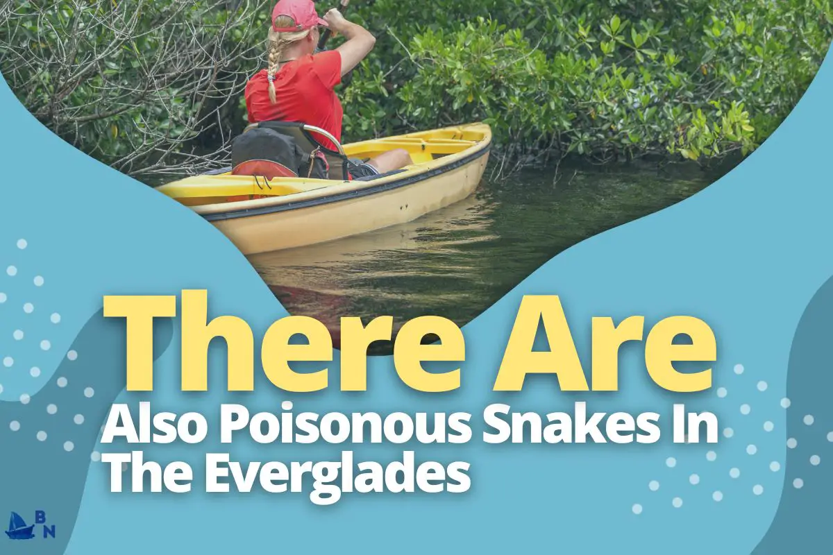 Is Kayaking In The Everglades Safe (Is It Really Worth It)