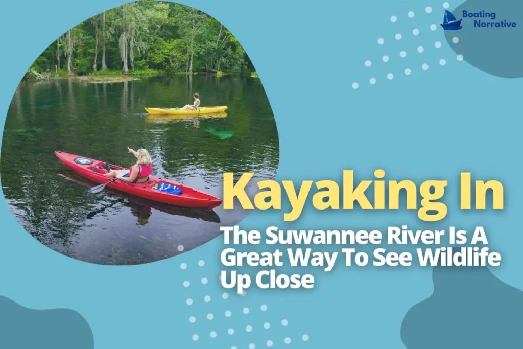 Kayaking In The Suwannee River Is A Great Way To See Wildlife Up Close