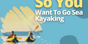 So You Want To Go Sea Kayaking