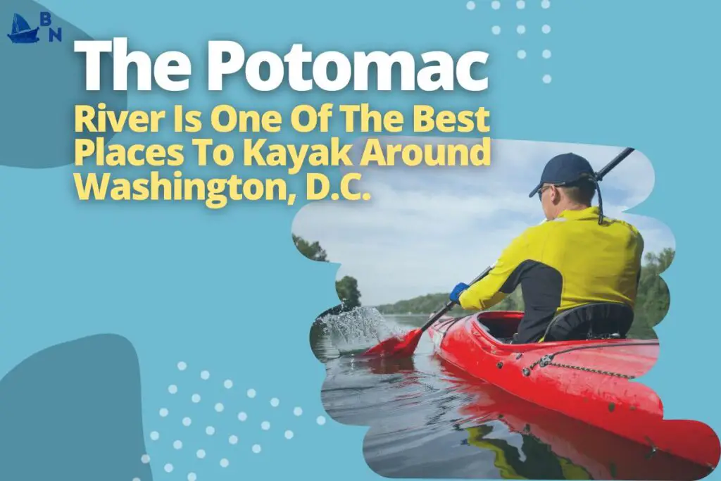 The Potomac River Is One Of The Best Places To Kayak Around Washington, D.C