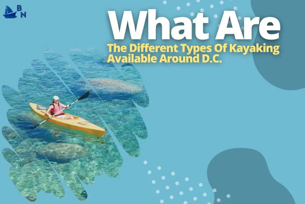 What Are The Different Types Of Kayaking Available Around D.C